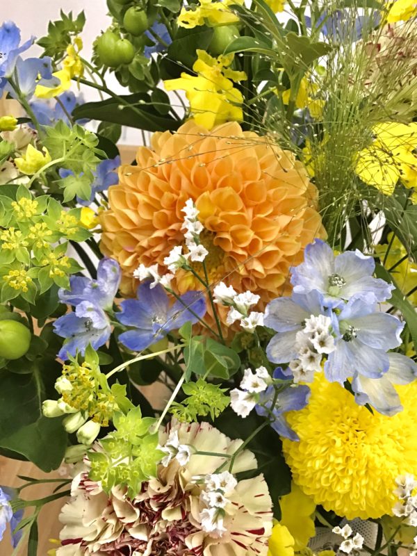 花toyuku 今回は秋の花ダリア ふくおかナビ