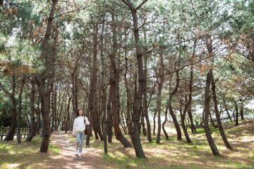 ふくおかちかたび 森と海 1度で2度美味しいウォーキングスポット さつき松原遊歩道 ふくおかナビ