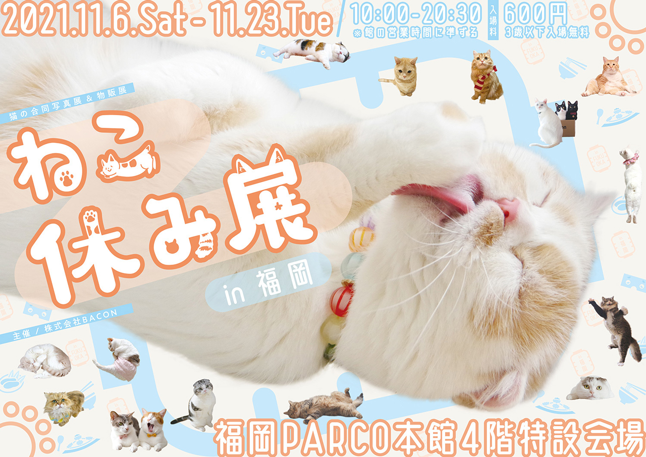 1年ぶり“猫の祭典”が福岡凱旋！癒しの猫写真＆グッズは新作に一新