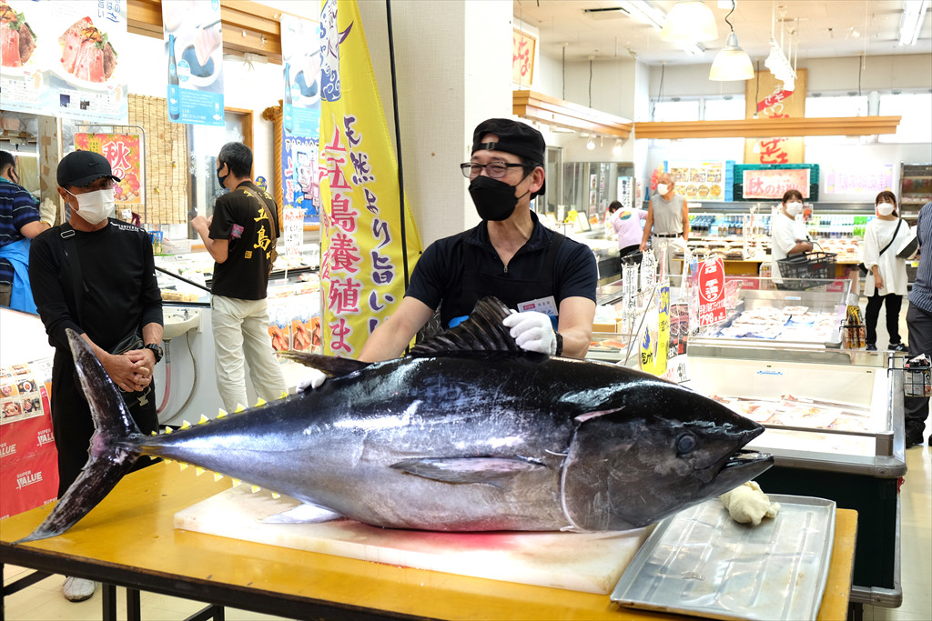 上五島に生本まぐろを食べに行こう！！】11月26日（土）〜12月25日（日